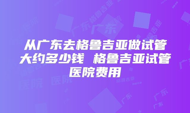 从广东去格鲁吉亚做试管大约多少钱 格鲁吉亚试管医院费用