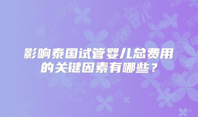 影响泰国试管婴儿总费用的关键因素有哪些？