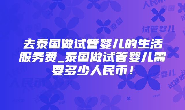 去泰国做试管婴儿的生活服务费_泰国做试管婴儿需要多少人民币！