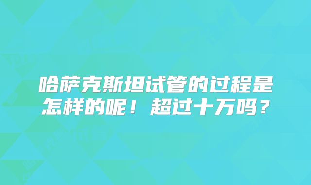 哈萨克斯坦试管的过程是怎样的呢！超过十万吗？