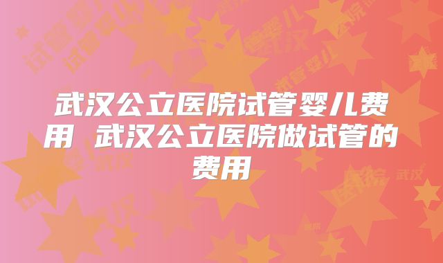 武汉公立医院试管婴儿费用 武汉公立医院做试管的费用