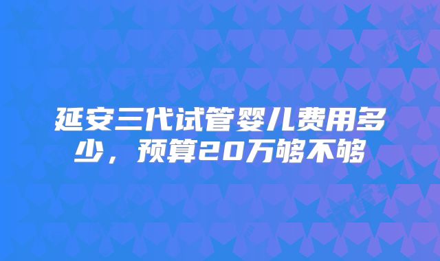 延安三代试管婴儿费用多少，预算20万够不够
