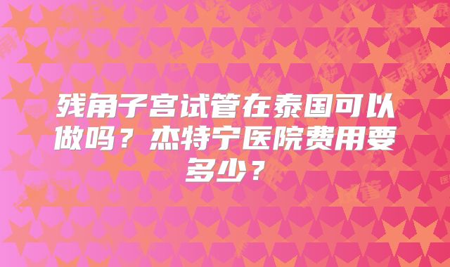 残角子宫试管在泰国可以做吗？杰特宁医院费用要多少？