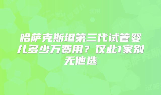 哈萨克斯坦第三代试管婴儿多少万费用？仅此1家别无他选