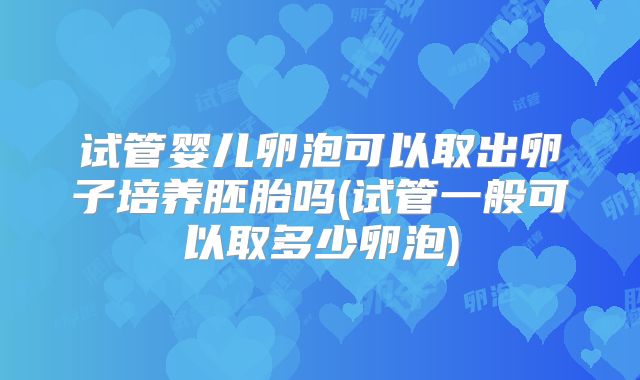 试管婴儿卵泡可以取出卵子培养胚胎吗(试管一般可以取多少卵泡)