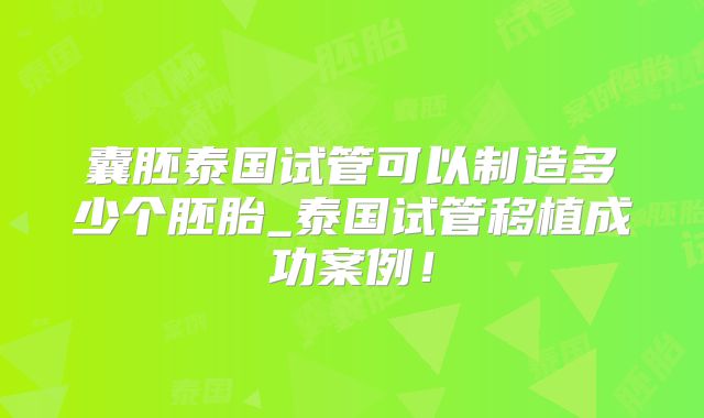 囊胚泰国试管可以制造多少个胚胎_泰国试管移植成功案例！