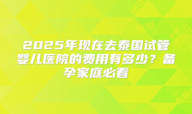 2025年现在去泰国试管婴儿医院的费用有多少？备孕家庭必看