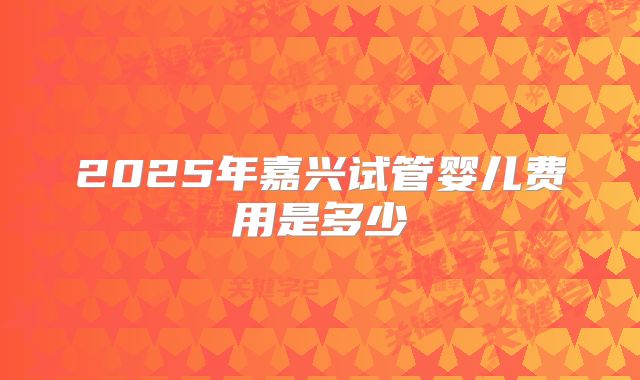 2025年嘉兴试管婴儿费用是多少