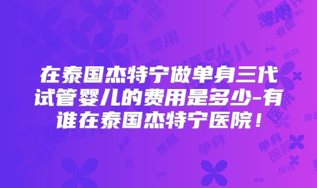 在泰国杰特宁做单身三代试管婴儿的费用是多少-有谁在泰国杰特宁医院!