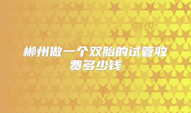郴州做一个双胎的试管收费多少钱