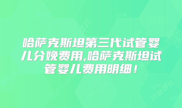 哈萨克斯坦第三代试管婴儿分娩费用,哈萨克斯坦试管婴儿费用明细！