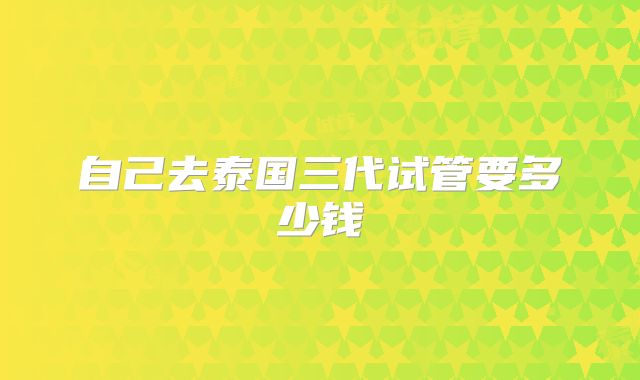 自己去泰国三代试管要多少钱