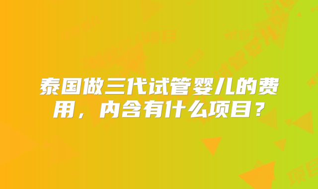 泰国做三代试管婴儿的费用，内含有什么项目？