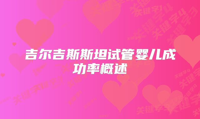 吉尔吉斯斯坦试管婴儿成功率概述