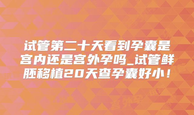 试管第二十天看到孕囊是宫内还是宫外孕吗_试管鲜胚移植20天查孕囊好小！