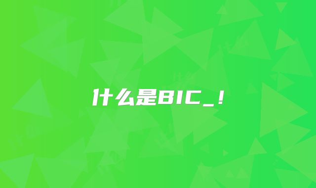 什么是BIC_！