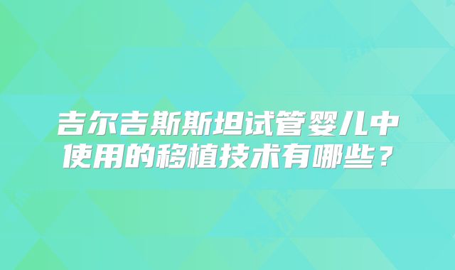 吉尔吉斯斯坦试管婴儿中使用的移植技术有哪些？