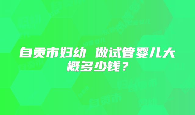 自贡市妇幼 做试管婴儿大概多少钱？