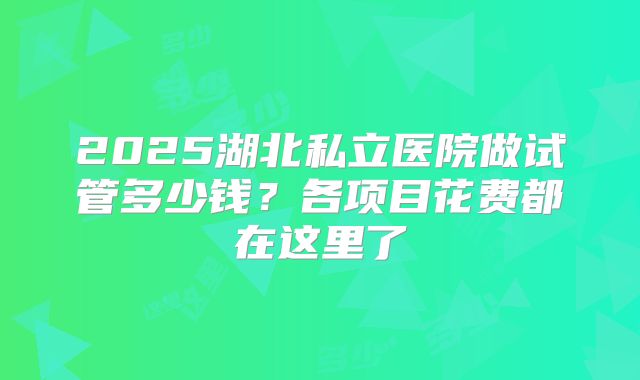 2025湖北私立医院做试管多少钱？各项目花费都在这里了