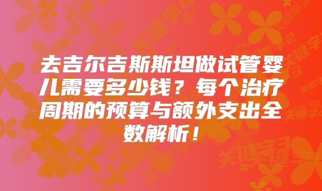 去吉尔吉斯斯坦做试管婴儿需要多少钱？每个治疗周期的预算与额外支出全数解析！