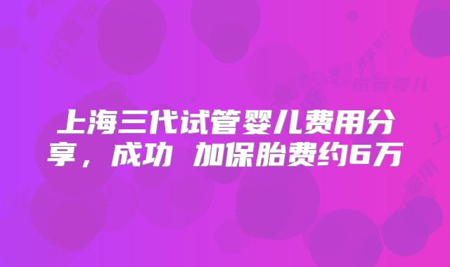 上海三代试管婴儿费用分享，成功 加保胎费约6万
