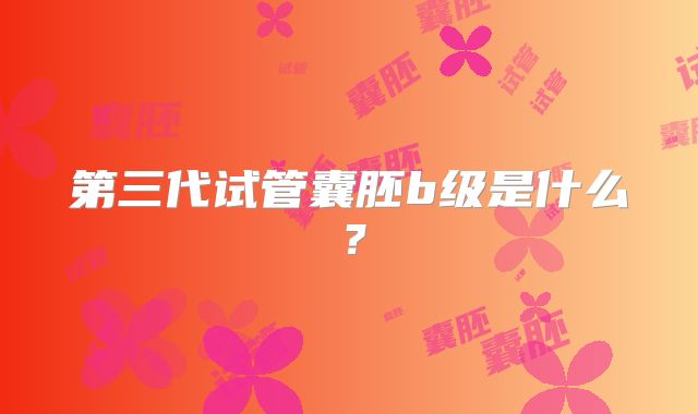 第三代试管囊胚b级是什么？