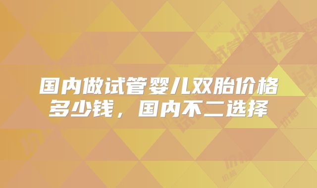 国内做试管婴儿双胎价格多少钱，国内不二选择