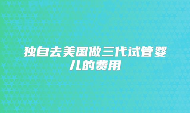 独自去美国做三代试管婴儿的费用