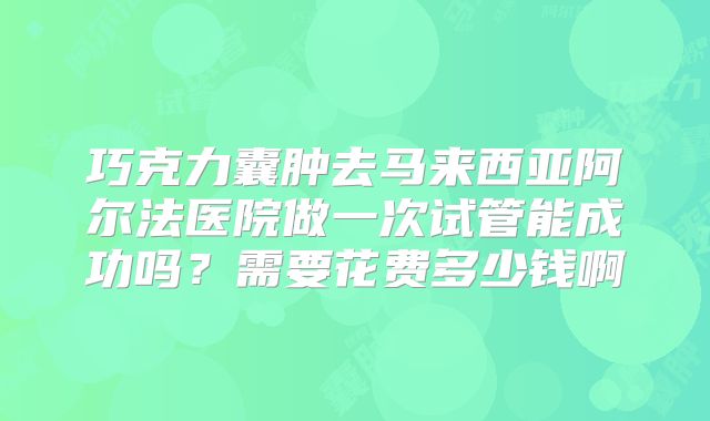 巧克力囊肿去马来西亚阿尔法医院做一次试管能成功吗？需要花费多少钱啊
