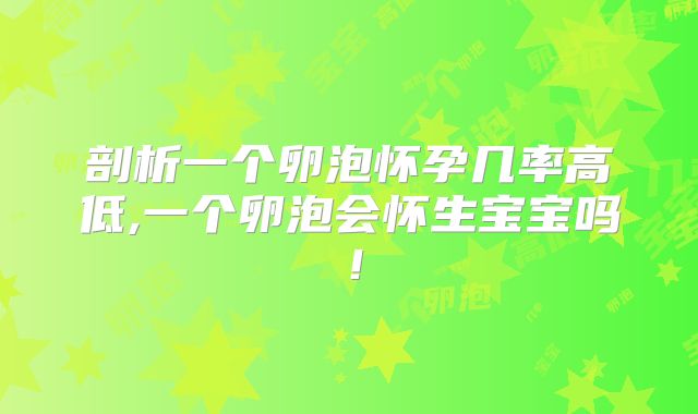 剖析一个卵泡怀孕几率高低,一个卵泡会怀生宝宝吗！