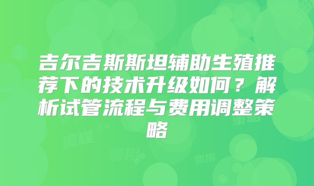 吉尔吉斯斯坦辅助生殖推荐下的技术升级如何？解析试管流程与费用调整策略