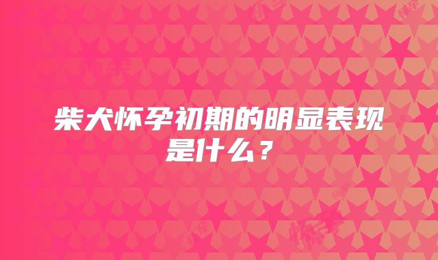 柴犬怀孕初期的明显表现是什么?
