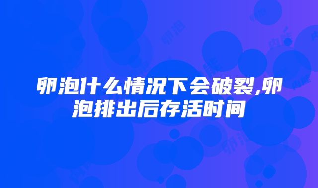 卵泡什么情况下会破裂,卵泡排出后存活时间