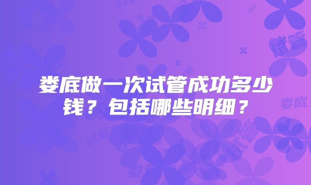 娄底做一次试管成功多少钱?包括哪些明细?