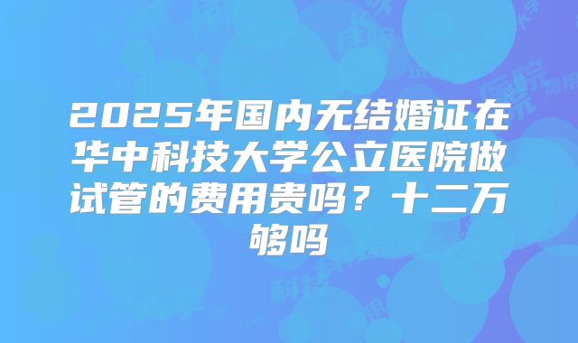 2025年国内无结婚证在华中科技大学公立医院做试管的费用贵吗?十二万够吗