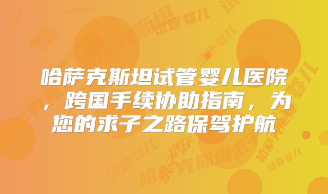 哈萨克斯坦试管婴儿医院，跨国手续协助指南，为您的求子之路保驾护航
