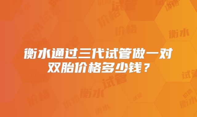 衡水通过三代试管做一对双胎价格多少钱？