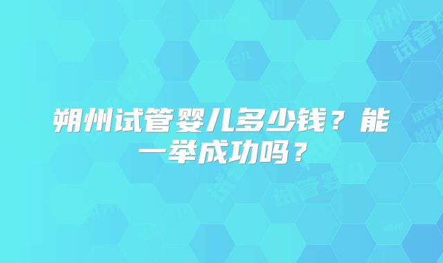 朔州试管婴儿多少钱？能一举成功吗？