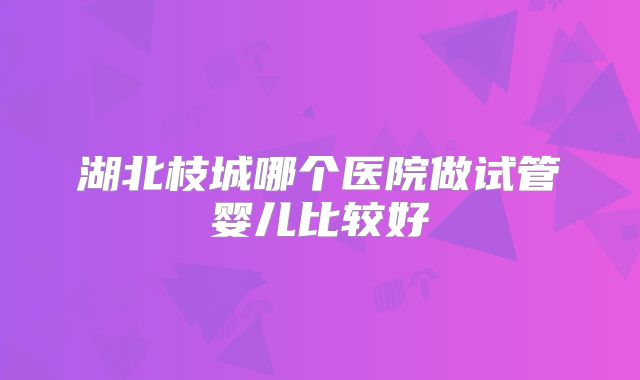 湖北枝城哪个医院做试管婴儿比较好