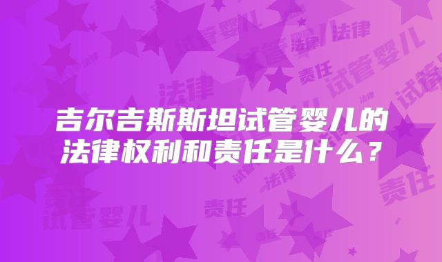 吉尔吉斯斯坦试管婴儿的法律权利和责任是什么？