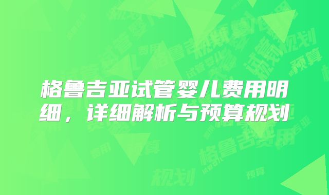 格鲁吉亚试管婴儿费用明细，详细解析与预算规划