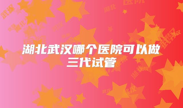湖北武汉哪个医院可以做三代试管