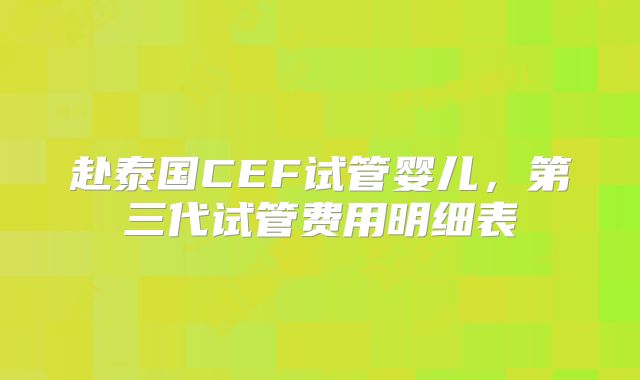 赴泰国CEF试管婴儿，第三代试管费用明细表