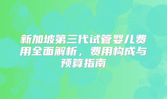 新加坡第三代试管婴儿费用全面解析，费用构成与预算指南