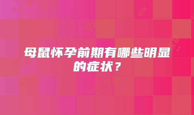 母鼠怀孕前期有哪些明显的症状？