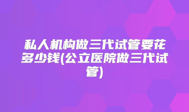 私人机构做三代试管要花多少钱(公立医院做三代试管)