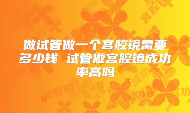 做试管做一个宫腔镜需要多少钱 试管做宫腔镜成功率高吗