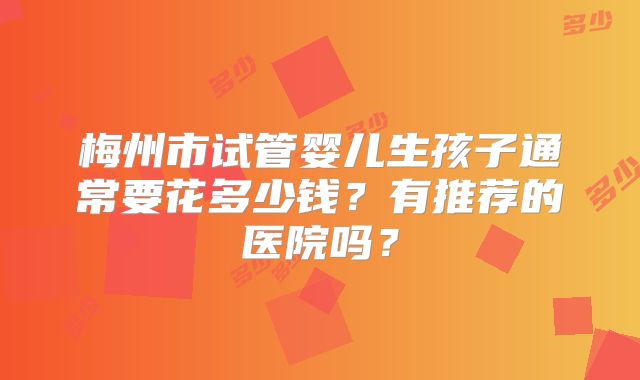 梅州市试管婴儿生孩子通常要花多少钱？有推荐的医院吗？