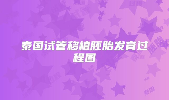 泰国试管移植胚胎发育过程图