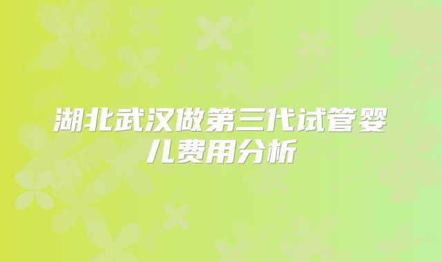 湖北武汉做第三代试管婴儿费用分析